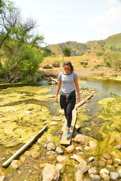 DSC_6538 (Large).JPG